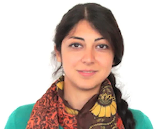 visseh-ramineh.JPG